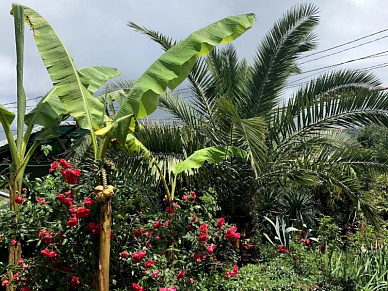 Что такое дом престарелых: виды, чем отличается от пансионата, как выбрать