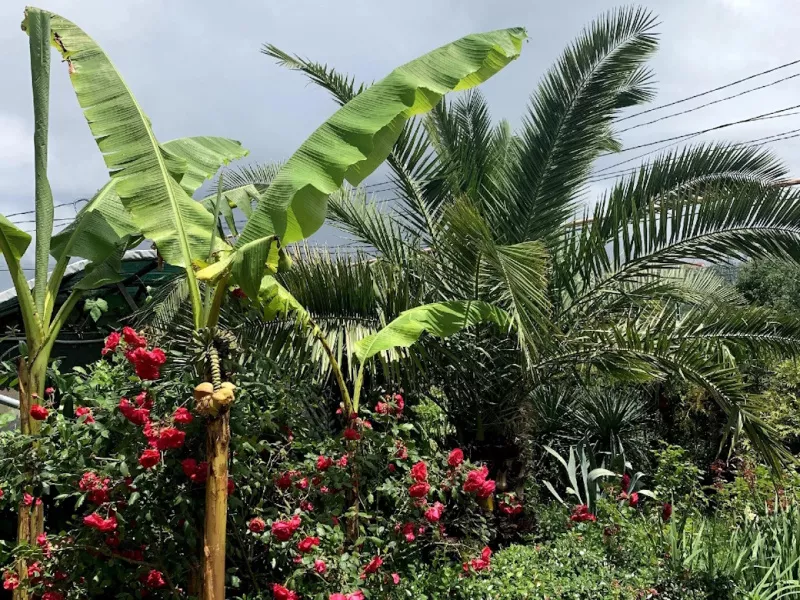 Что такое дом престарелых: виды, чем отличается от пансионата, как выбрать